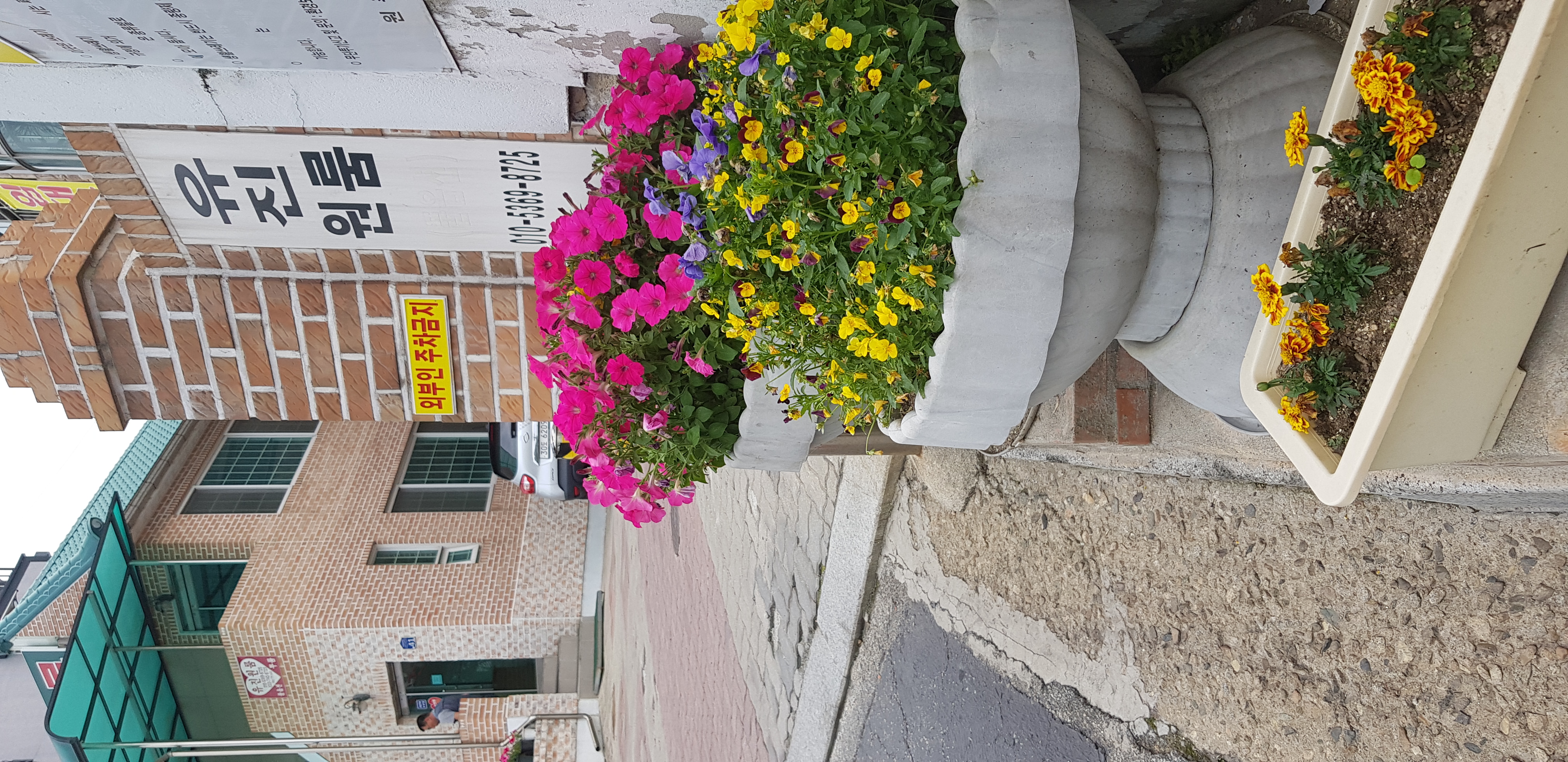 우리집 꽃밭 - 10