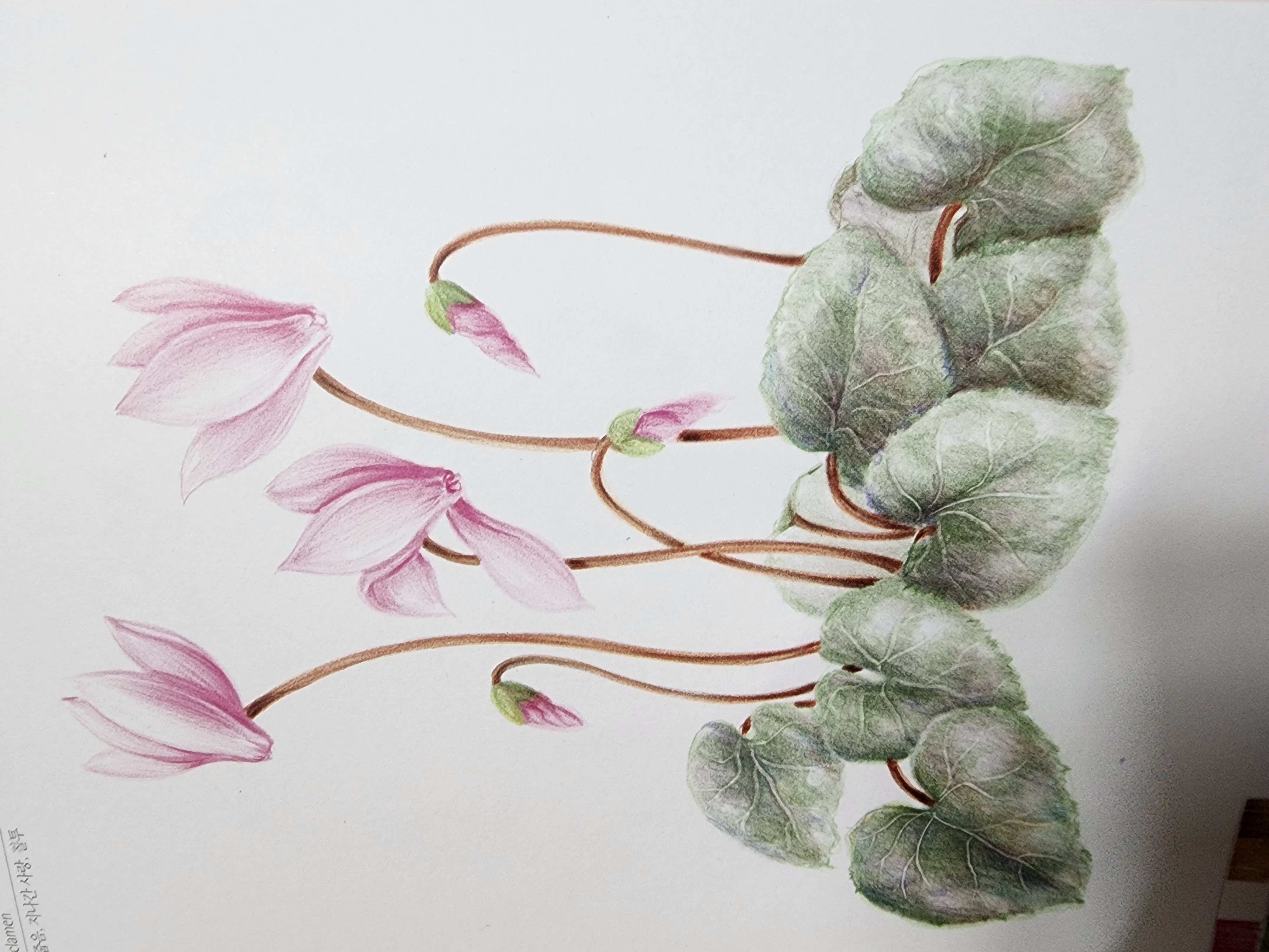 소근소근 아름다운 미소 - 4