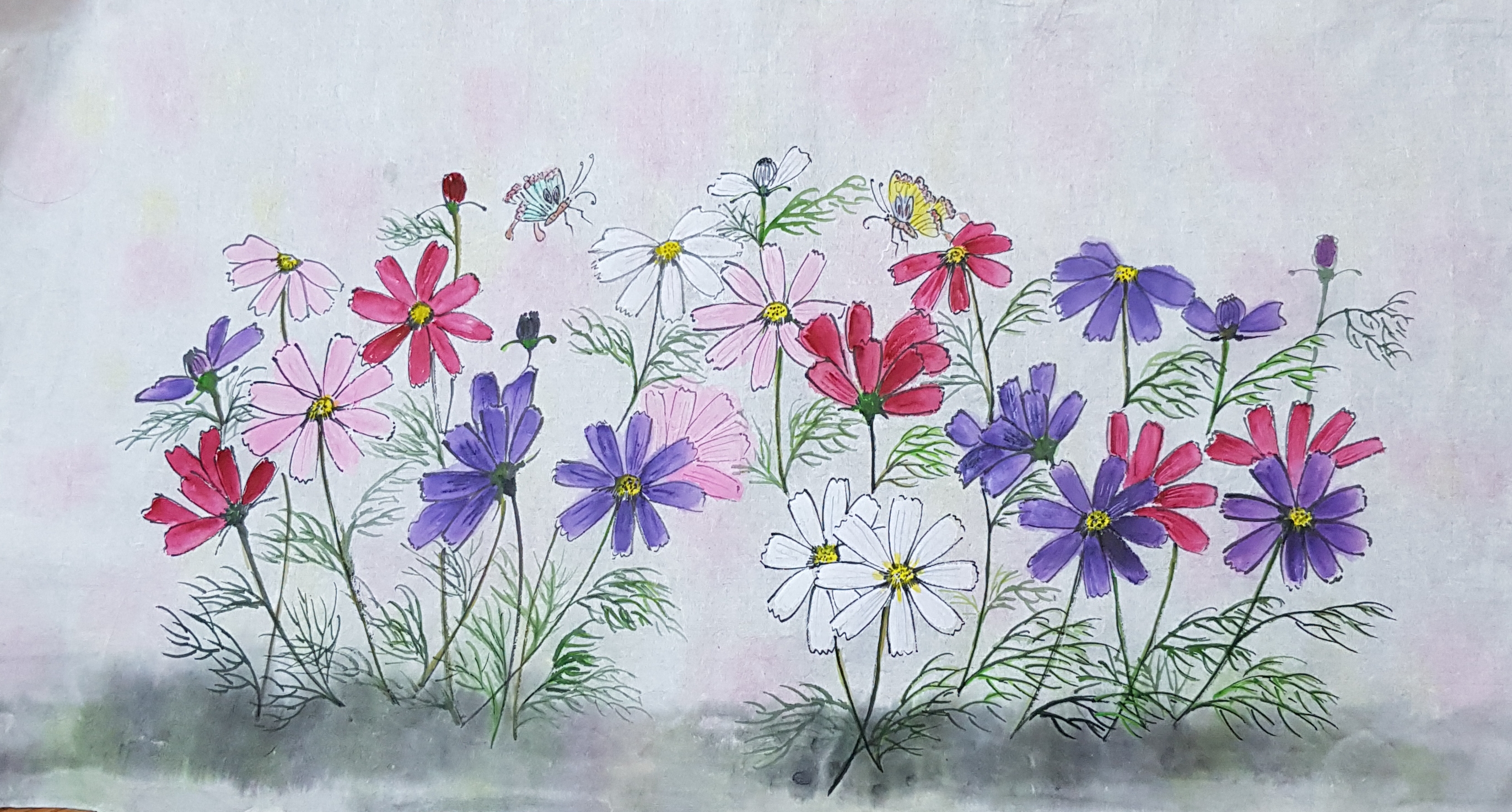 코스모스(복지 교재용)