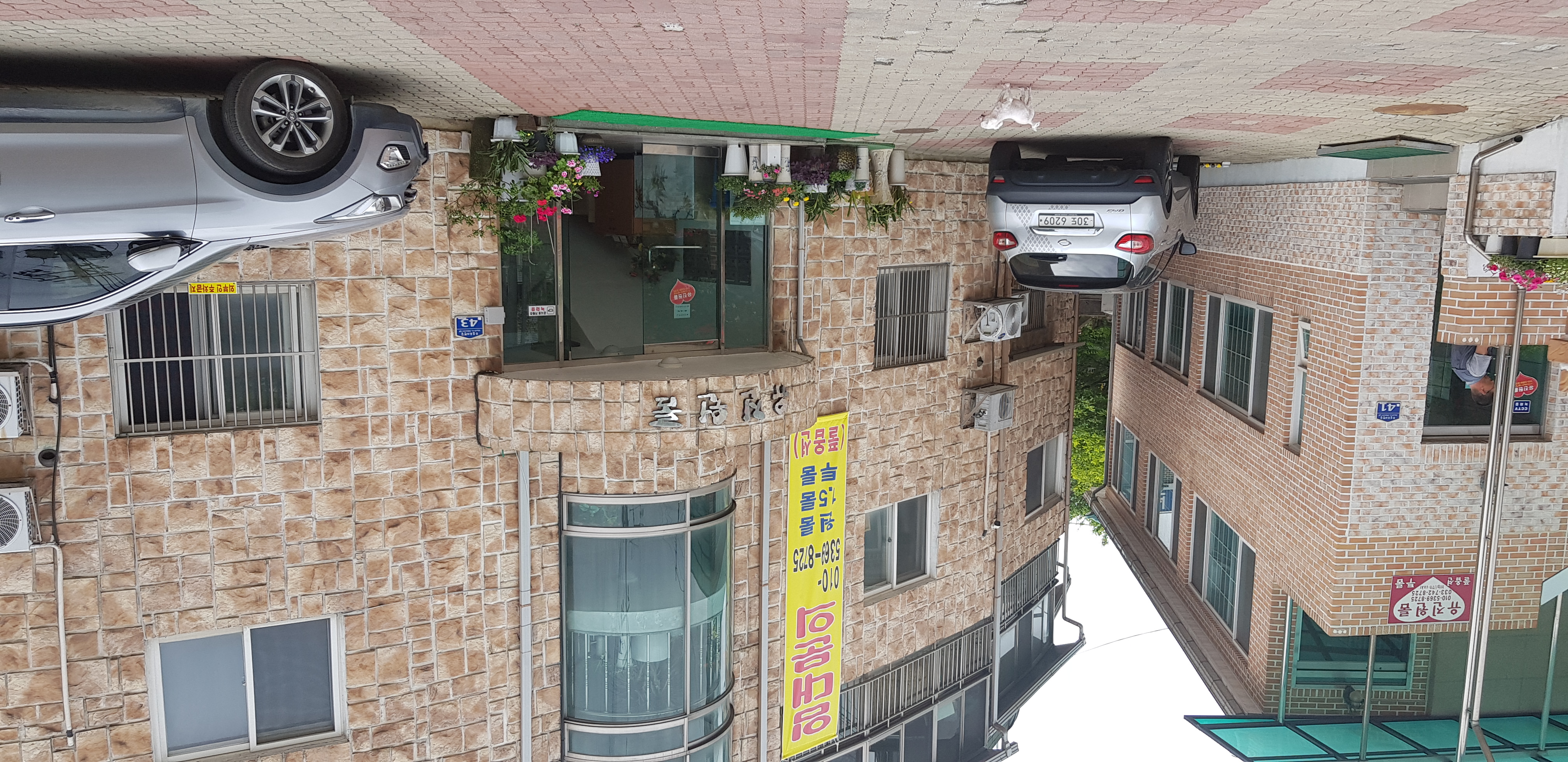 우리집 꽃밭 - 8