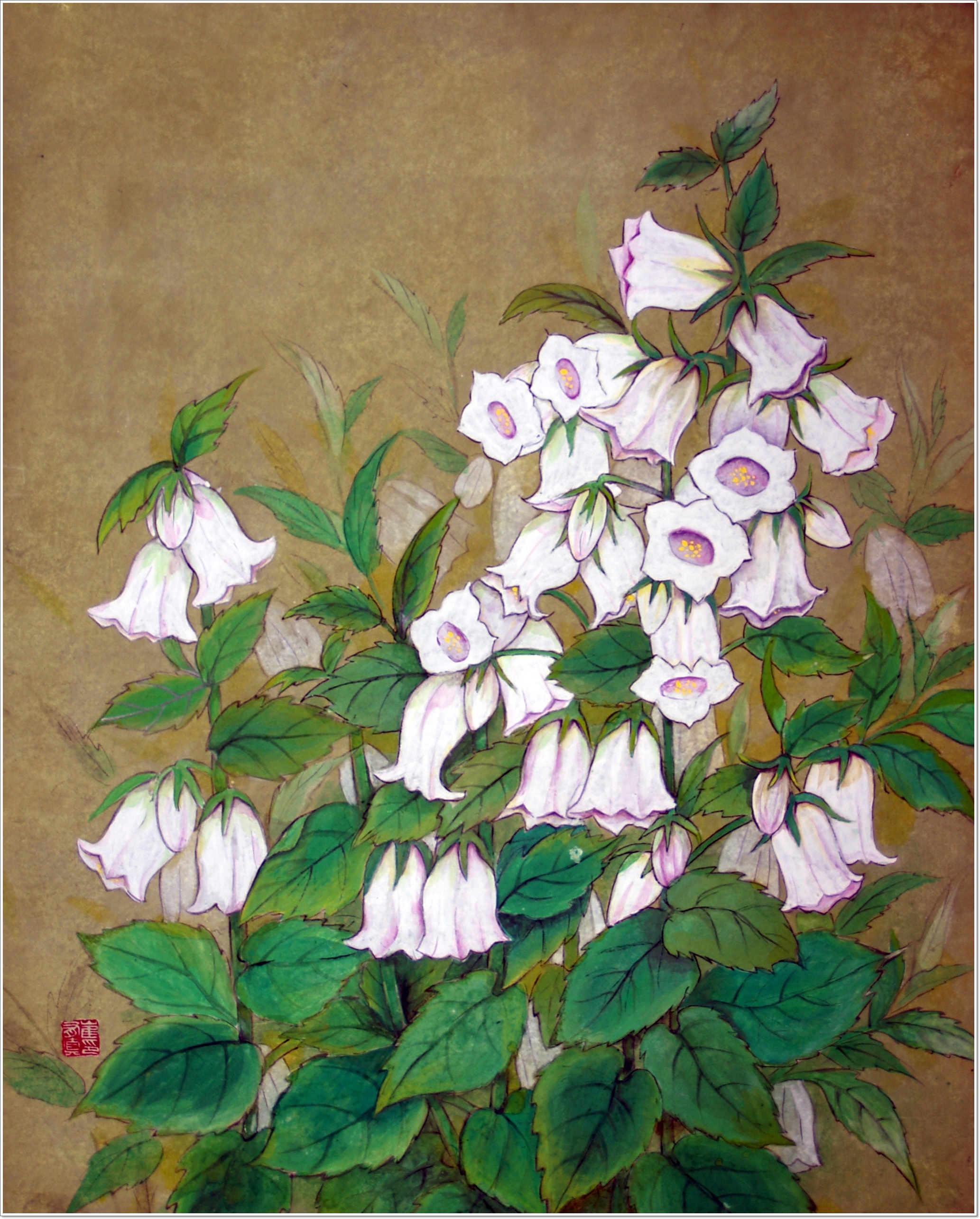 초롱꽃(수묵담채화)